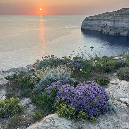 Dar Tfuliti *